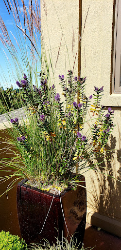 Winery «Archery Summit Winery», reviews and photos, 18599 NE Archery Summit Rd, Dayton, OR 97114, USA