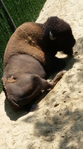 Golf Club «Stone Harbor Golf Club», reviews and photos, 905 U.S. 9, Cape May Court House, NJ 08210, USA
