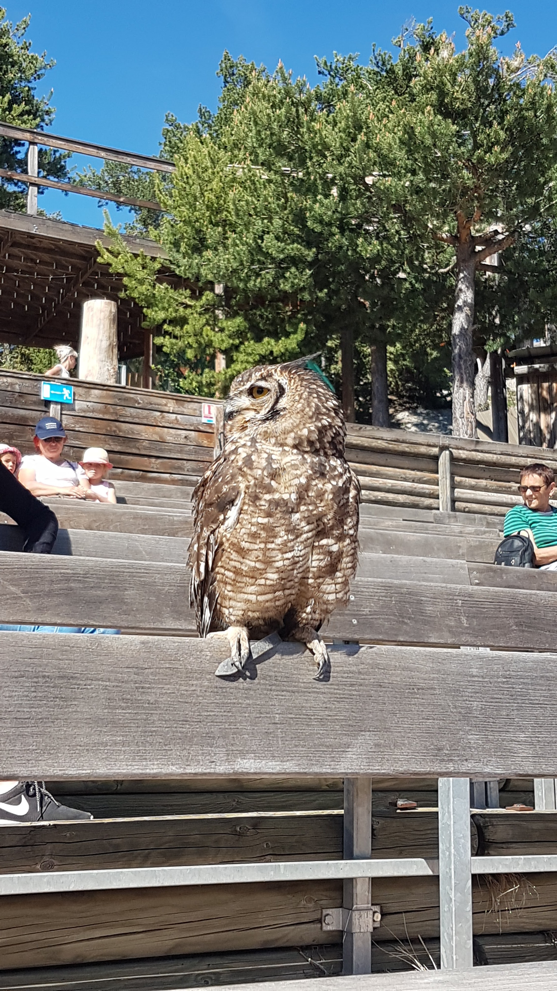Photo n° 13 de l'avis de Maxence.o fait le 10/05/2018 à 07:26