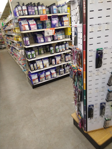 Discount Store «Big Lots», reviews and photos, 47 Fair Ln, Placerville, CA 95667, USA