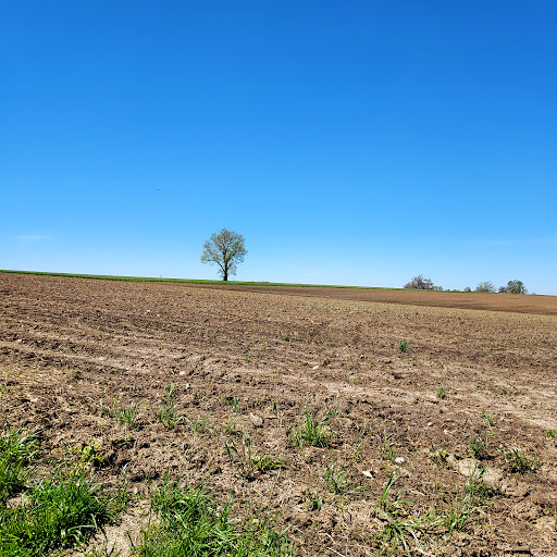 Convenience Store «Wawa», reviews and photos, 2126-2132 Lincoln Hwy E, Lancaster, PA 17602, USA