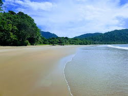 Las Cuevas beach'in fotoğrafı çok temiz temizlik seviyesi ile