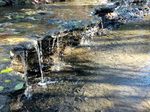 Park «Florence Nature Park», reviews and photos, 7200 Parkview Dr, Florence, KY 41042, USA