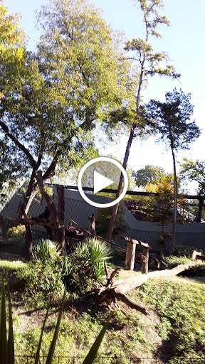 Transit Stop «Dallas Zoo Station», reviews and photos, 614 S. Ewing Avenue, Dallas, TX 75203, USA