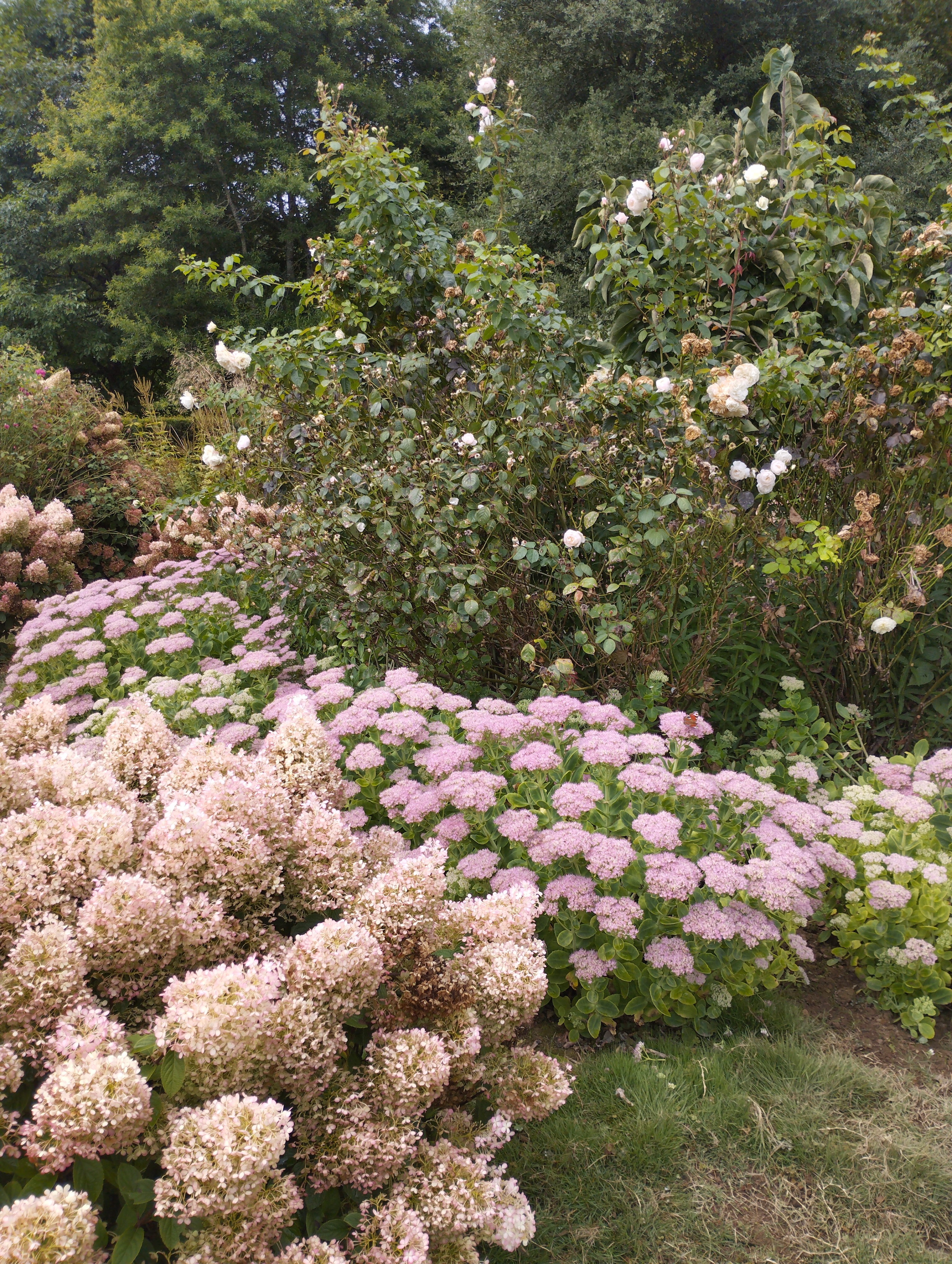 Photo n° 9 de l'avis de Tiphaine.l fait le 31/08/2023 à 22:42