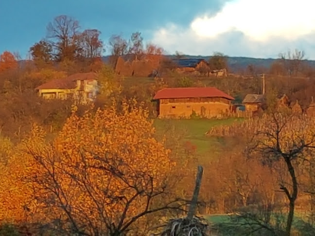 Sat Vâlcele, oraş Tismana, judeţul Gorj, Vâlcele 217506, România