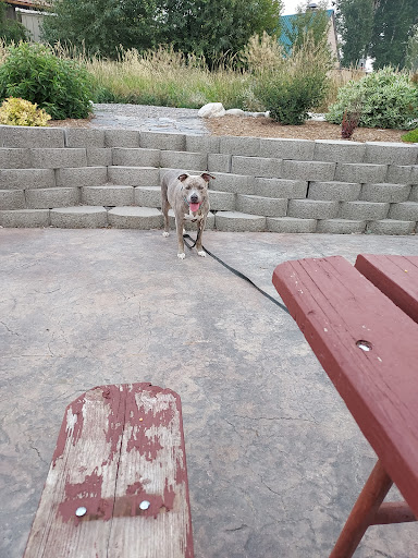 Gym «Bozeman Hot Springs Spa and Fitness», reviews and photos, 81123 Gallatin Rd, Bozeman, MT 59718, USA