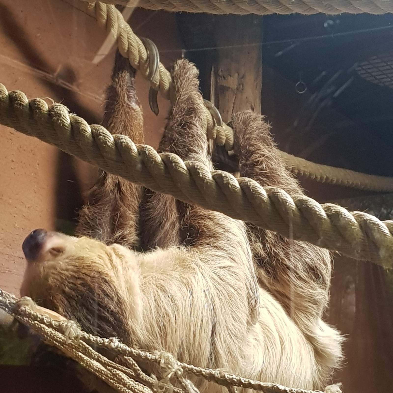 Photo n° 4 de l'avis de EG7. fait le 29/05/2023 à 10:08