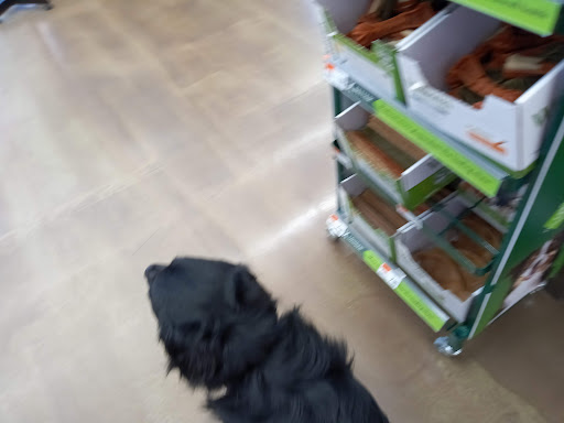 Pet Supply Store «Pet Supplies Plus», reviews and photos, 1676 E Summit St, Crown Point, IN 46307, USA