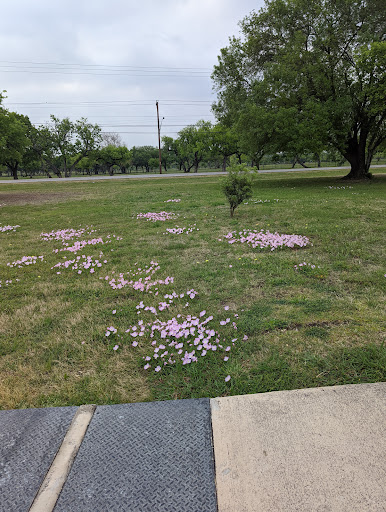 City Park «Shearer Hills/Ridgeview Walking Trail - Olmos Basin Park», reviews and photos, 101 Jackson Keller Rd, San Antonio, TX 78216, USA