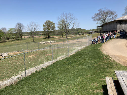 Zoo «Kentucky Down Under Adventure Zoo», reviews and photos, 3700 L and N Turnpike Rd, Horse Cave, KY 42749, USA