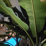 Photo n°2 de l'avis de Maïté.e fait le 18/03/2024 à 06:26 sur le  Casa Nostra Boutique Hotel à Palermo