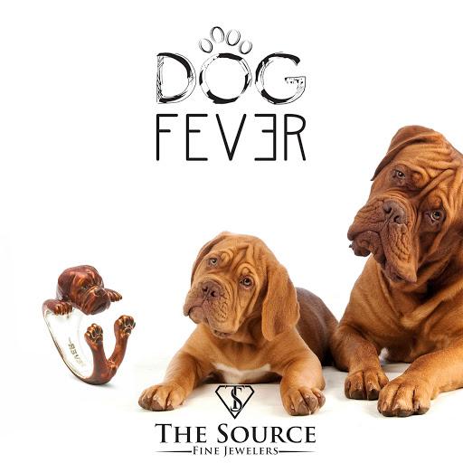 Jewelry Store «The Source Fine Jewelers», reviews and photos, 2147 W Ridge Rd, Rochester, NY 14626, USA