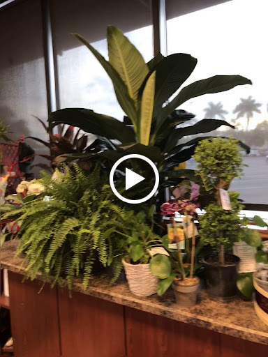 Grocery Store «Wynn’s Market», reviews and photos, 141 9th St N, Naples, FL 34102, USA