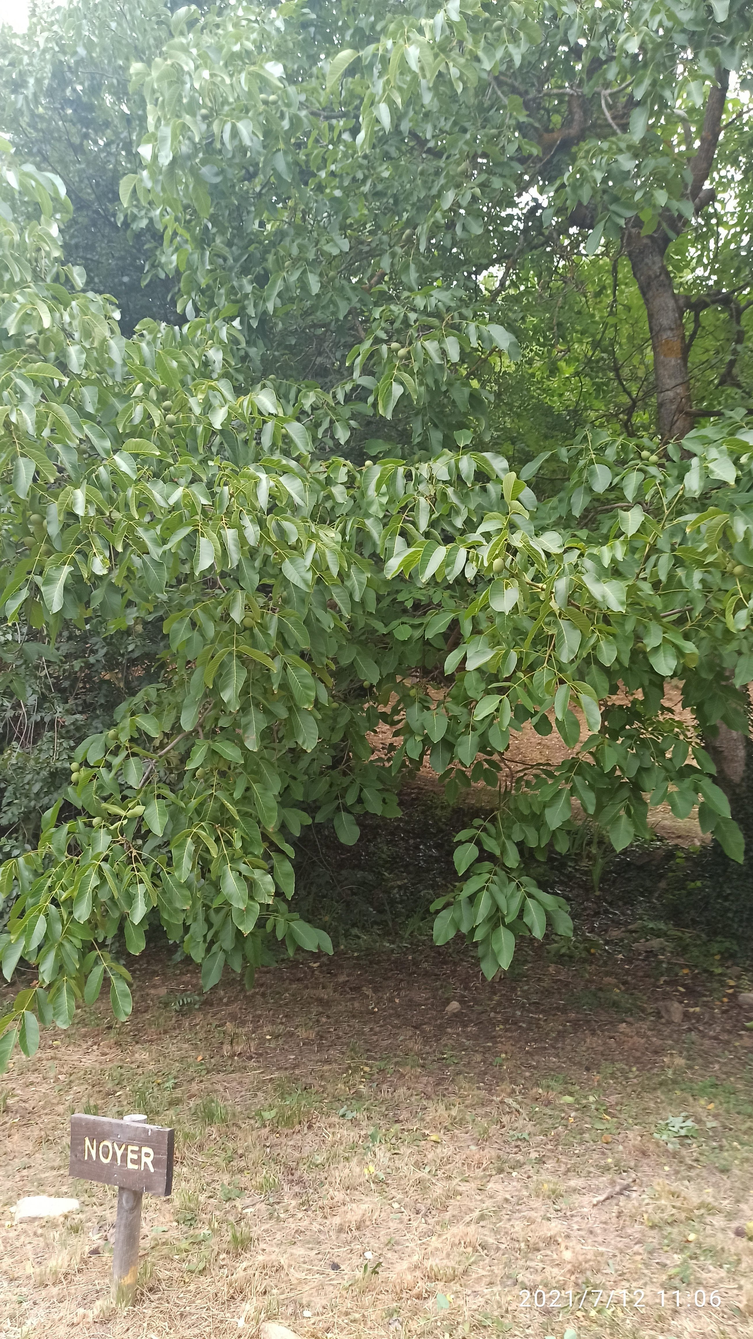 Photo n° 1 de l'avis de Anna.o fait le 14/07/2021 à 19:40