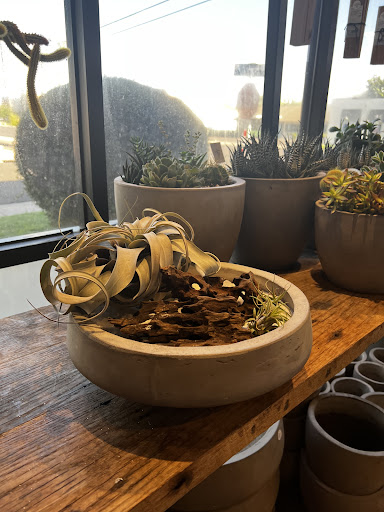 Florist «Camelback Flowershop», reviews and photos, 4108 E Indian School Rd, Phoenix, AZ 85018, USA