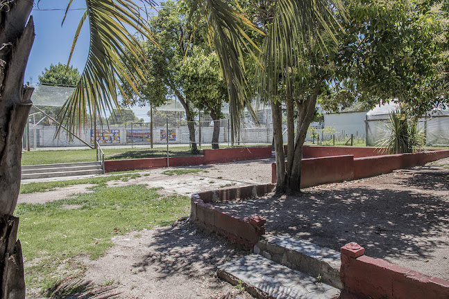 Opiniones de Liceo CIEI en La Paz - Escuela