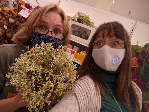 Craft Store «Hobby Lobby», reviews and photos, 3701 McKinley Pkwy #1240, Blasdell, NY 14219, USA