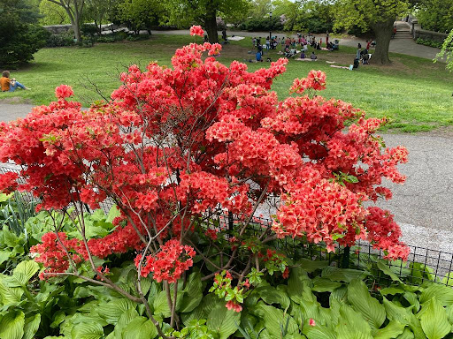 Art Museum «The Cloisters», reviews and photos, 99 Margaret Corbin Dr, New York, NY 10040, USA