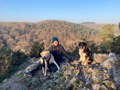 Vie de Chien à Damigny