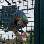 Photo n°1 de l'avis de Luciana.e fait le 24/09/2022 à 17:27 sur le  Agriturismo La Contea del Vignolo Fiorito à Graffignana