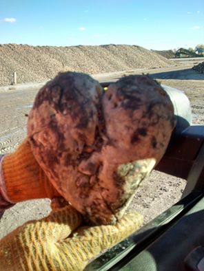 Employment Agency «Express Employment Professionals - Grand Forks, ND», reviews and photos, 3590 S 42nd St, Grand Forks, ND 58201, USA