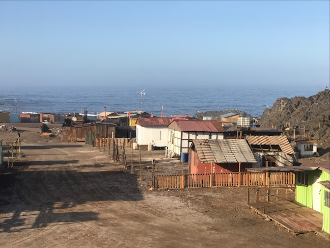 Opiniones de Camping indigena en Antofagasta - Camping