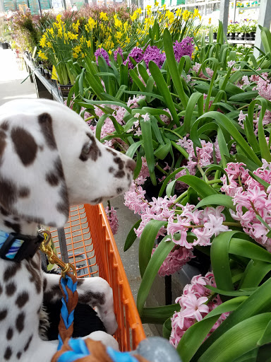 Home Improvement Store «The Home Depot», reviews and photos, 2312 Eastern Blvd, Montgomery, AL 36117, USA