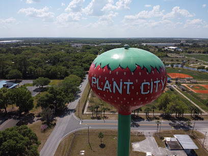 Plant City Water Tower