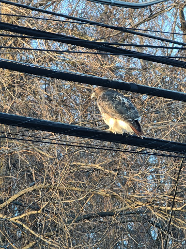 Car Wash «Mr. Magic Car Wash», reviews and photos, 2752 Banksville Rd, Pittsburgh, PA 15216, USA