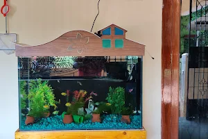 Ayesha Aquarium image