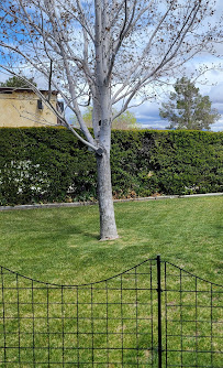 Tri City Lawn Care - Photo 3 - Car repair in , Victorville