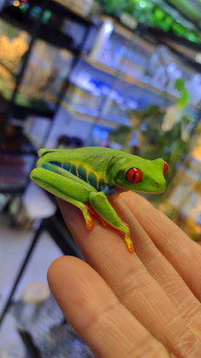 Pet Store «Animal Island Pet Shop», reviews and photos, 14411 S Cicero Ave, Midlothian, IL 60445, USA