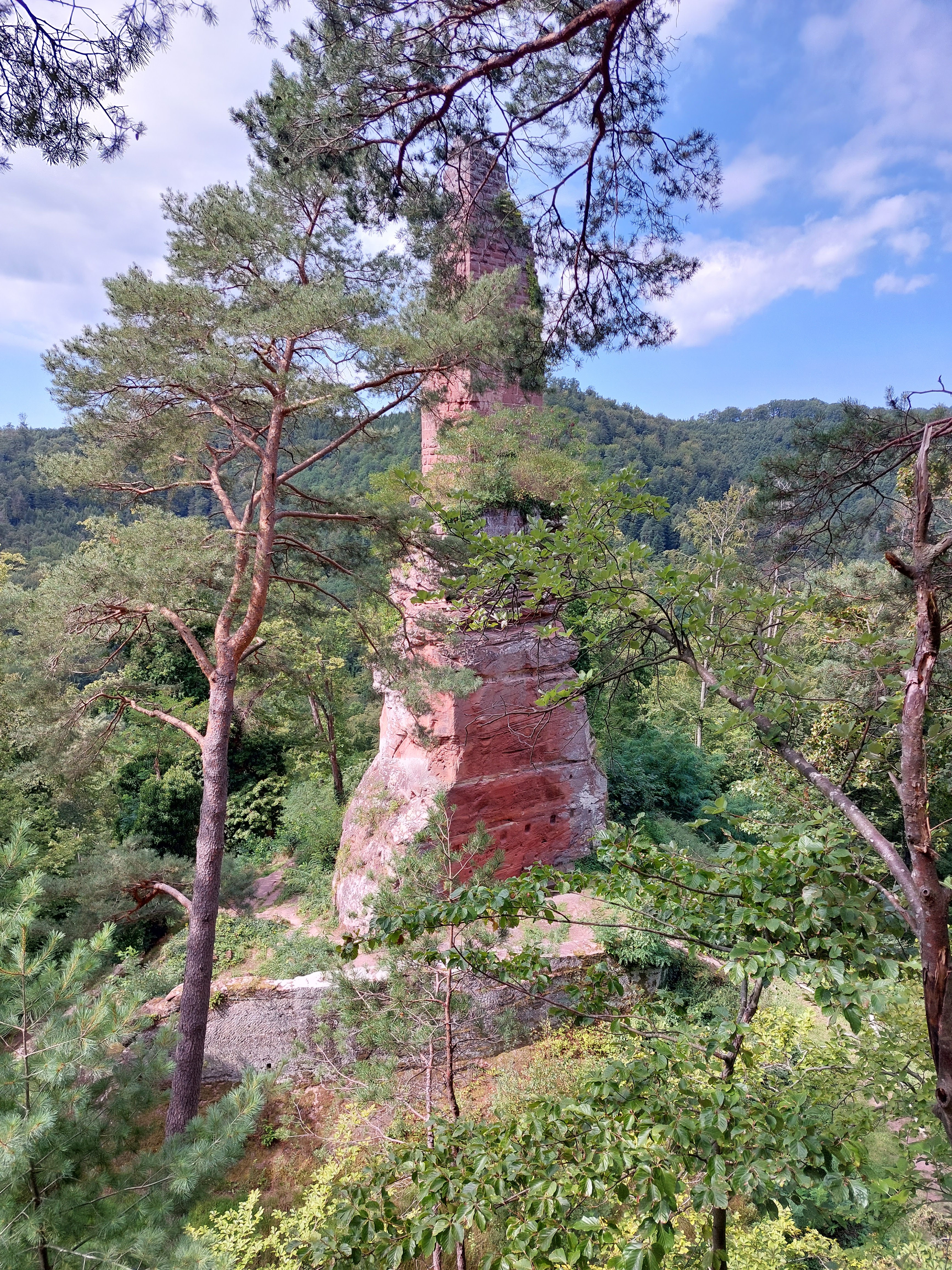 Photo n° 6 de l'avis de Sebastian.r fait le 22/08/2023 à 10:58