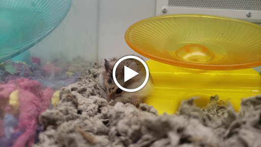 Pet Supply Store «Petco Animal Supplies», reviews and photos, 5975 20th St, Vero Beach, FL 32966, USA