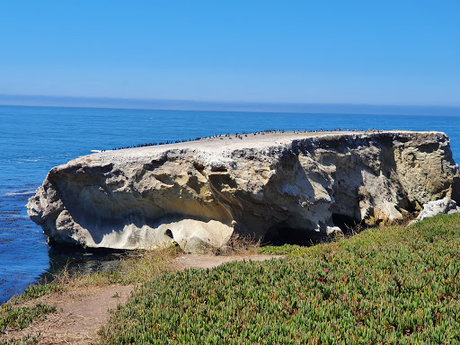 Park «Dinosaur Caves Park», reviews and photos, 2701 Price St, Pismo Beach, CA 93449, USA