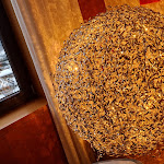 Photo n°8 de l'avis de Ute.a fait le 05/04/2022 à 11:17 sur le  Lothar-Mai-Haus à Hofbieber