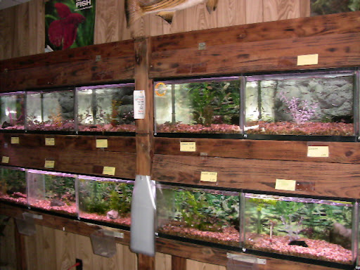 Pet Store «Boiling Springs Pet World», reviews and photos, 2651 Boiling Springs Rd, Spartanburg, SC 29316, USA