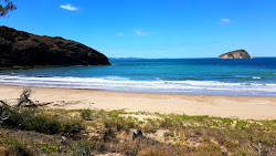 Foto av Kemp Beach omgiven av berg