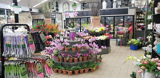 Florist «Metropolitan Plant & Flower», reviews and photos, 840 NJ-17, Paramus, NJ 07652, USA