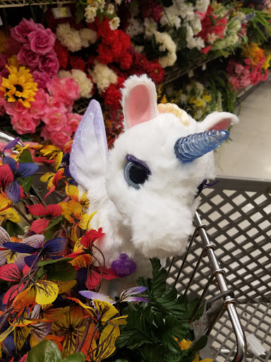 Craft Store «A.C. Moore Arts and Crafts», reviews and photos, 3861 Evergreen Pkwy, Bowie, MD 20716, USA