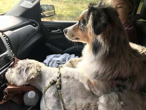 Explore native tattoo ideas, creative tattoo ideas in South Padre Island, available at Peggys Temporary & Permanent Tattoos