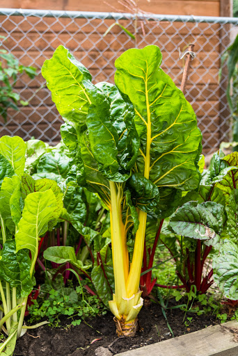 Italian Grocery Store «DeVitis Fine Italian Foods», reviews and photos, 560 E Tallmadge Ave, Akron, OH 44310, USA