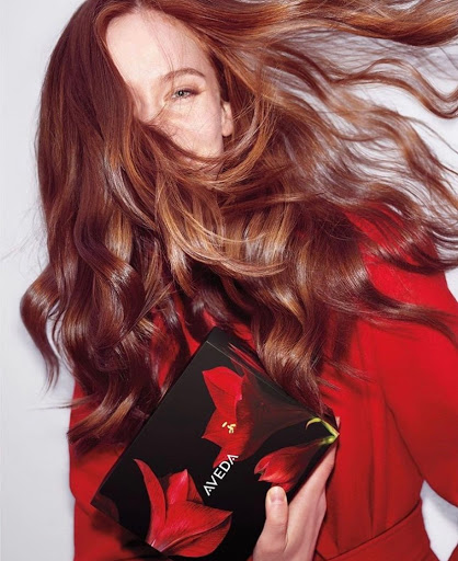 Hair Salon «Soleil 7 Hair Salon - An Aveda Salon», reviews and photos, 1318 N Monroe St # D, Tallahassee, FL 32303, USA