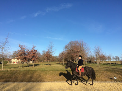 Lusitaniens de Tralbaud à Lesterps