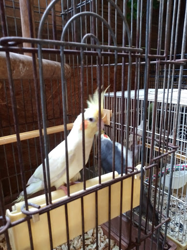 Zoo «Petting zoo Ocala», reviews and photos, 11150 FL-40, Ocala, FL 34482, USA