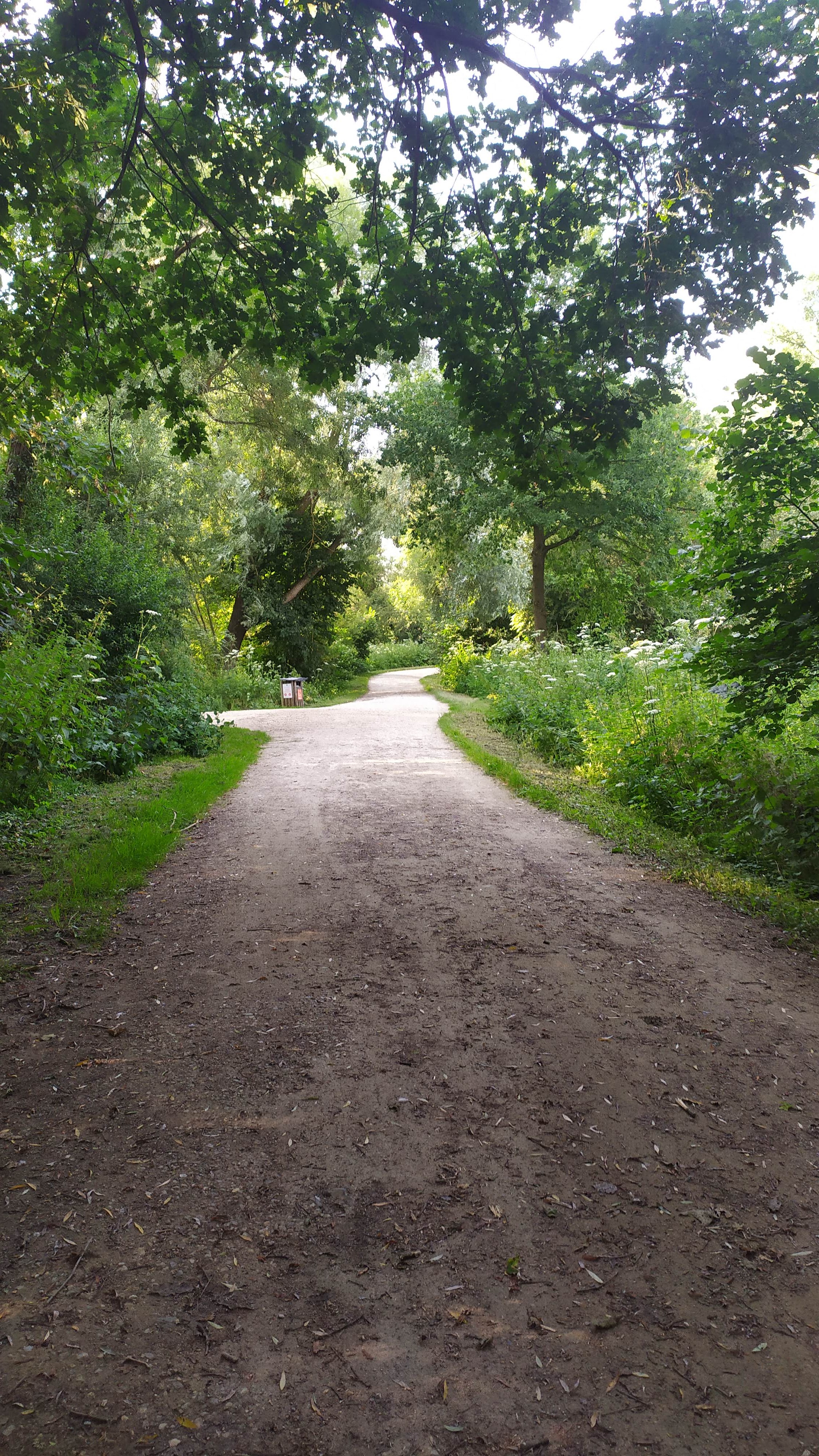 Photo n° 2 de l'avis de R. fait le 23/07/2021 à 18:19