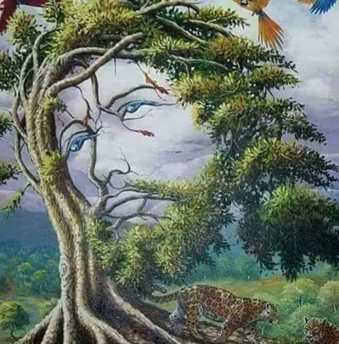 Car Wash «Sparkles Carwash & Quick Lube», reviews and photos, 3107 Farrington St, Flushing, NY 11354, USA