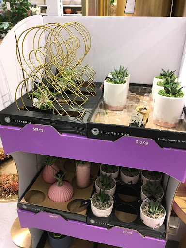 Department Store «Target», reviews and photos, 200 Vintage Way, Novato, CA 94945, USA