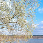Photo n°2 de l'avis de Thomas.o fait le 09/04/2023 à 17:18 sur le  Seminaris SeeHotel Potsdam à Potsdam